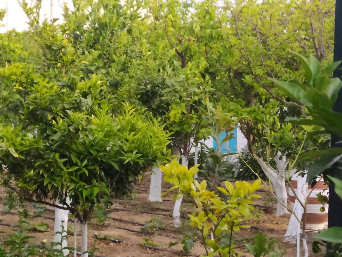 شقة Perivoli 4-Chora Agkidia المظهر الخارجي الصورة